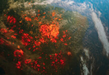 Wildfires burning in South America as seen from space.