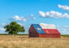 Barn with Texas flag painted on roof, tree nearby.