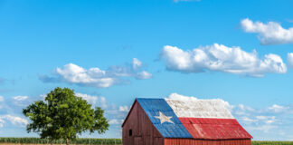 Barn with Texas flag painted on roof, tree nearby.