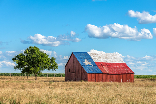 Barn with Texas flag painted on roof, tree nearby.