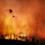 Helicopter fighting large wildfire in a forest.