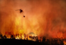 Helicopter fighting large wildfire in a forest.