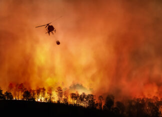 Helicopter fighting large wildfire in a forest.