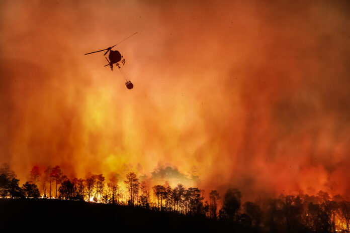 Helicopter fighting large wildfire in a forest.