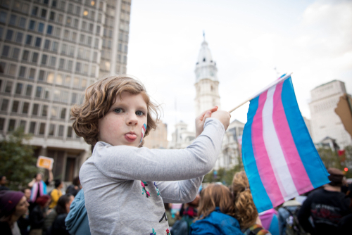 Child holds transgender flag at a city protest.