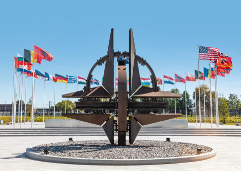 NATO emblem with flags of member countries in background.