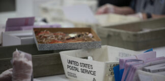 USPS worker handling mail-in ballots at a sorting facility