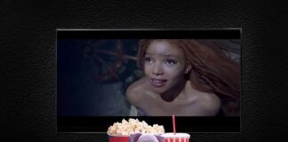 Stuffed toy with popcorn, soda, TV displaying mermaid scene.