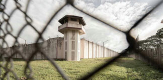 View of prison watchtower through chain-link fence.