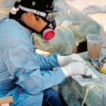 Hantavirus Panic ERUPTS Again — Public Trust SHAKEN Over Viral Warning Cycle…