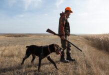 A man in hunting gear walking with a dog in a field during sunset