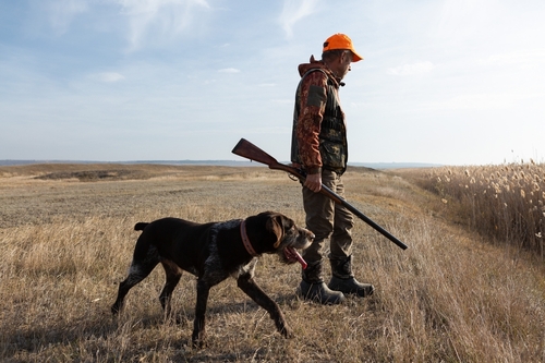 A man in hunting gear walking with a dog in a field during sunset
