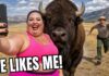 When Karens Try Petting Yellowstone Bison - Rangers Watched It Happen