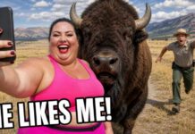 When Karens Try Petting Yellowstone Bison - Rangers Watched It Happen