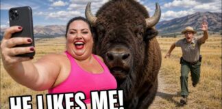 When Karens Try Petting Yellowstone Bison - Rangers Watched It Happen