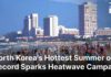 WATCH NOW: North Korea Battles Record Heat as State Media Recommends Dog-Meat Soup | AL1B
