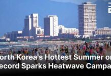 WATCH NOW: North Korea Battles Record Heat as State Media Recommends Dog-Meat Soup | AL1B