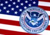 U.S. flag with ICE emblem