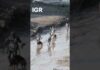 Race Against Time to Rescue 933 Workers Trapped in Nepal Hydropower Tunnels | India Global Review
