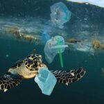 sea turtle swimming amid plastic waste