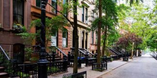 Tree-lined street with brownstone townhouses and stoops