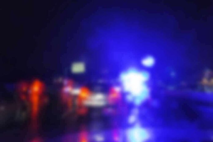Police lights on a wet road at night