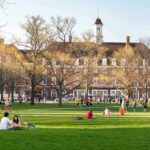 1,200+ Reports Put Cornell Under New Scrutiny Students relaxing on a campus quad in front of a brick academic building