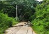 Fallen utility pole blocking a rural road