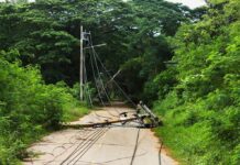 Fallen utility pole blocking a rural road